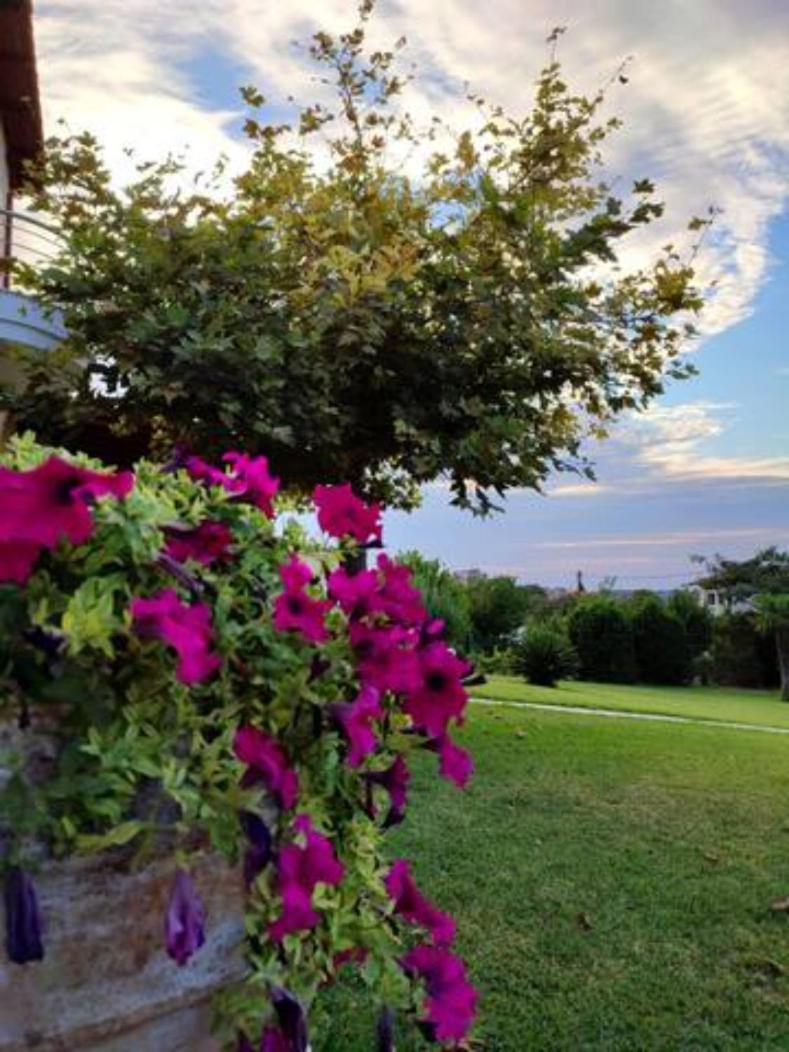 Wonderful Villa With Great View In Posidi-Kalandra Bagian luar foto